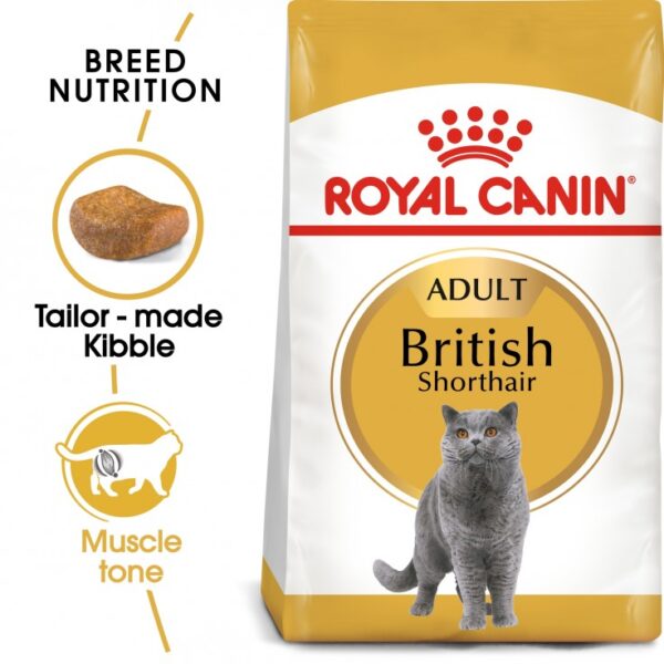 Royal Canin British Shorthair Kitten (2kg)